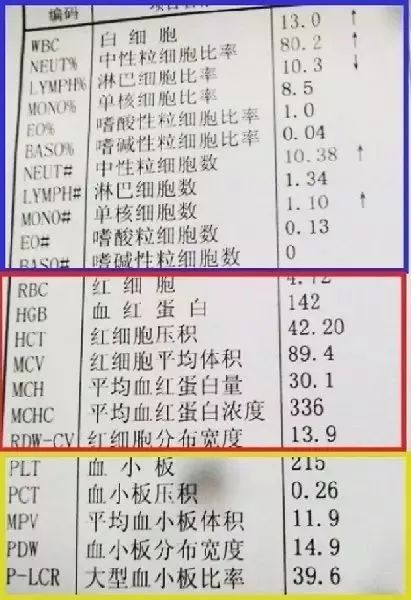 一文看懂血常规化验单