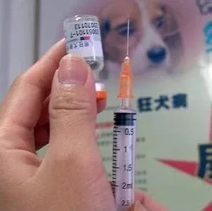 狂犬病疫苗厂家造假被查,全国召回疫苗!