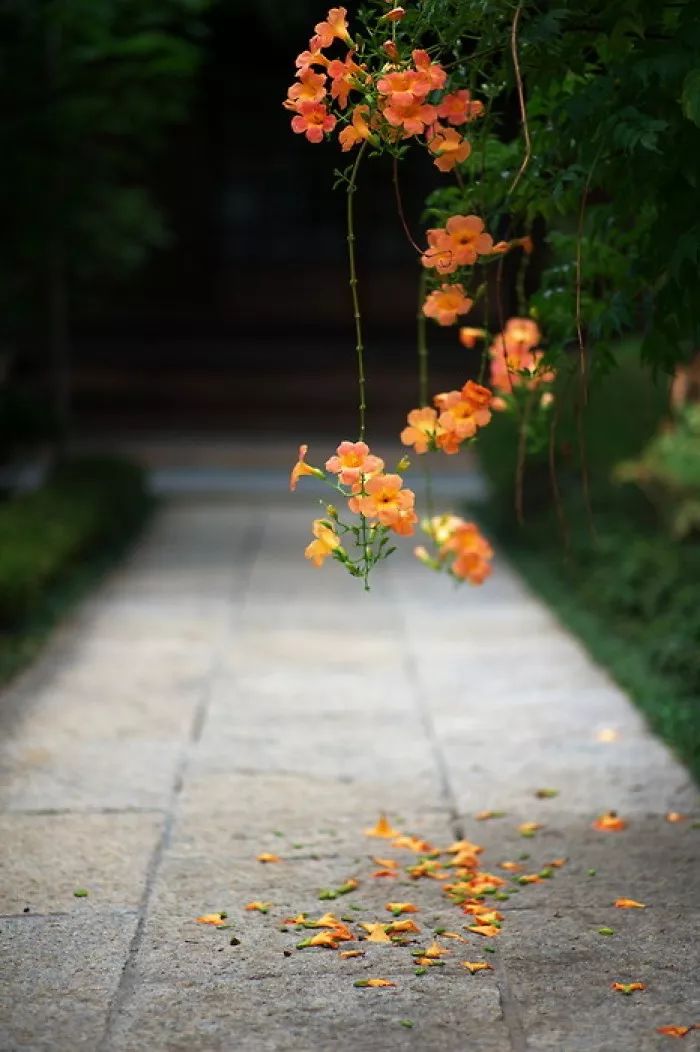 笑看人生风雨路,一切随缘度今生