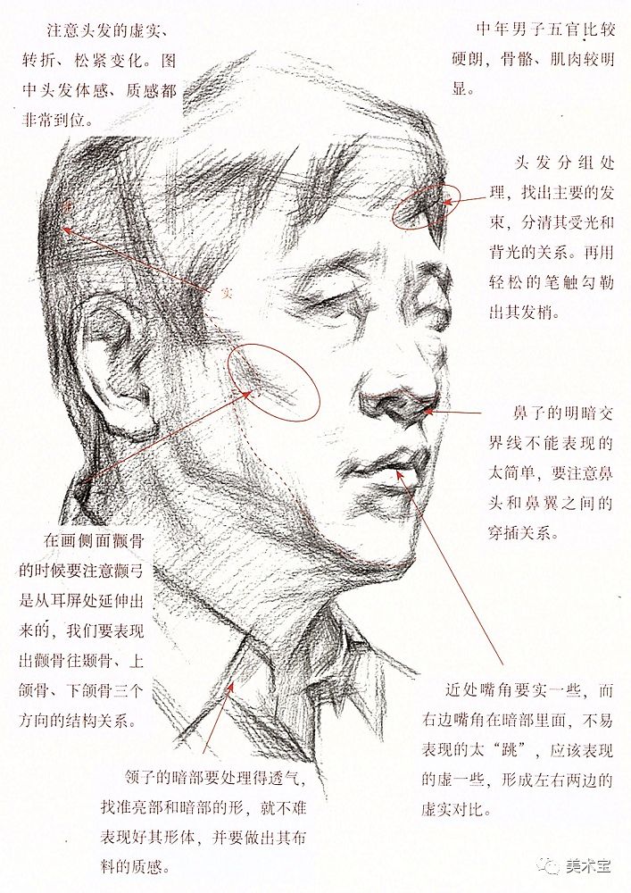 素描人像|结构解析