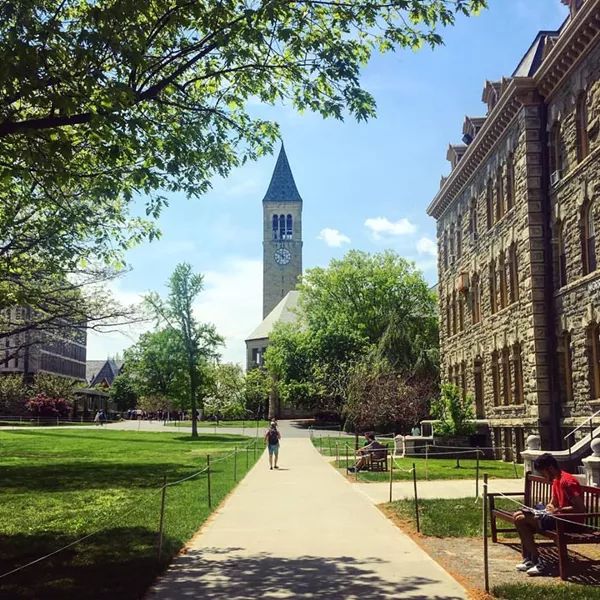 7.康奈尔大学(cornell university)