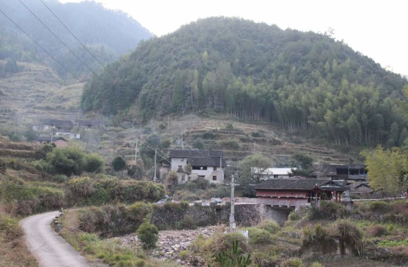 双增攻坚好故事荷地镇横岭村丨搬迁村的致富之路