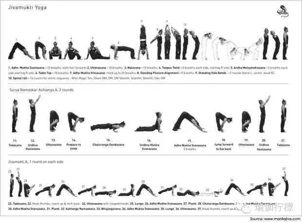 史上最全的瑜伽各大流派经典序列赶紧收藏