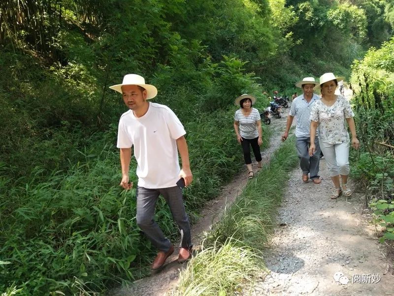 烈日下的新妙镇北门村干部在干啥?