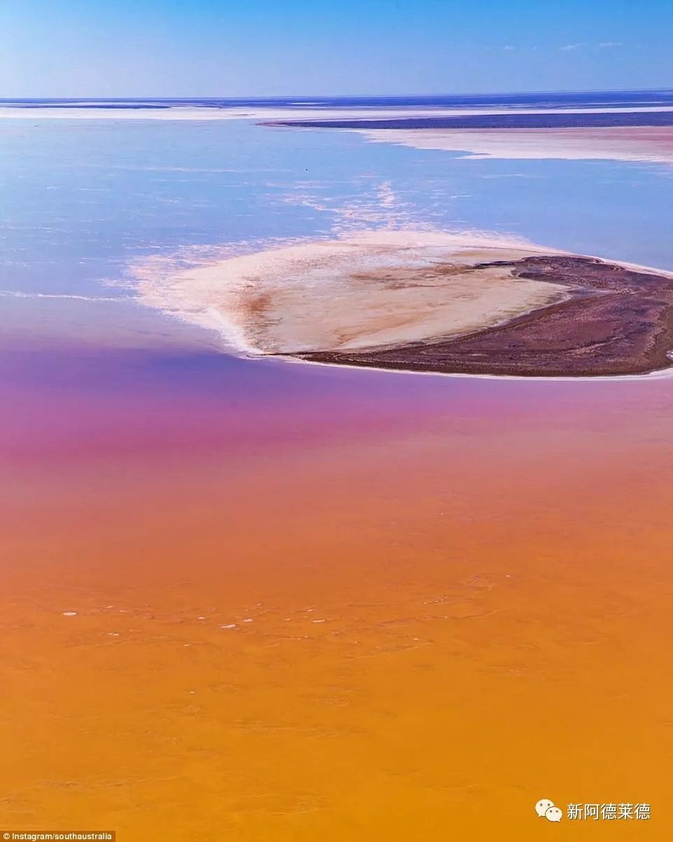 美呆南澳艾尔湖近期呈现缤纷色彩50年一遇速去围观