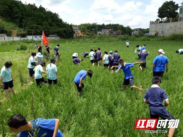 和亲朋好友出门旅行,约上三五好友一起参加社会实践…暑期可以做