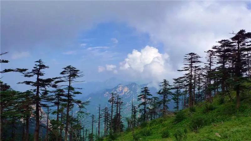 避暑指南|西安周边绝美景区,藏着一个19°c的夏天