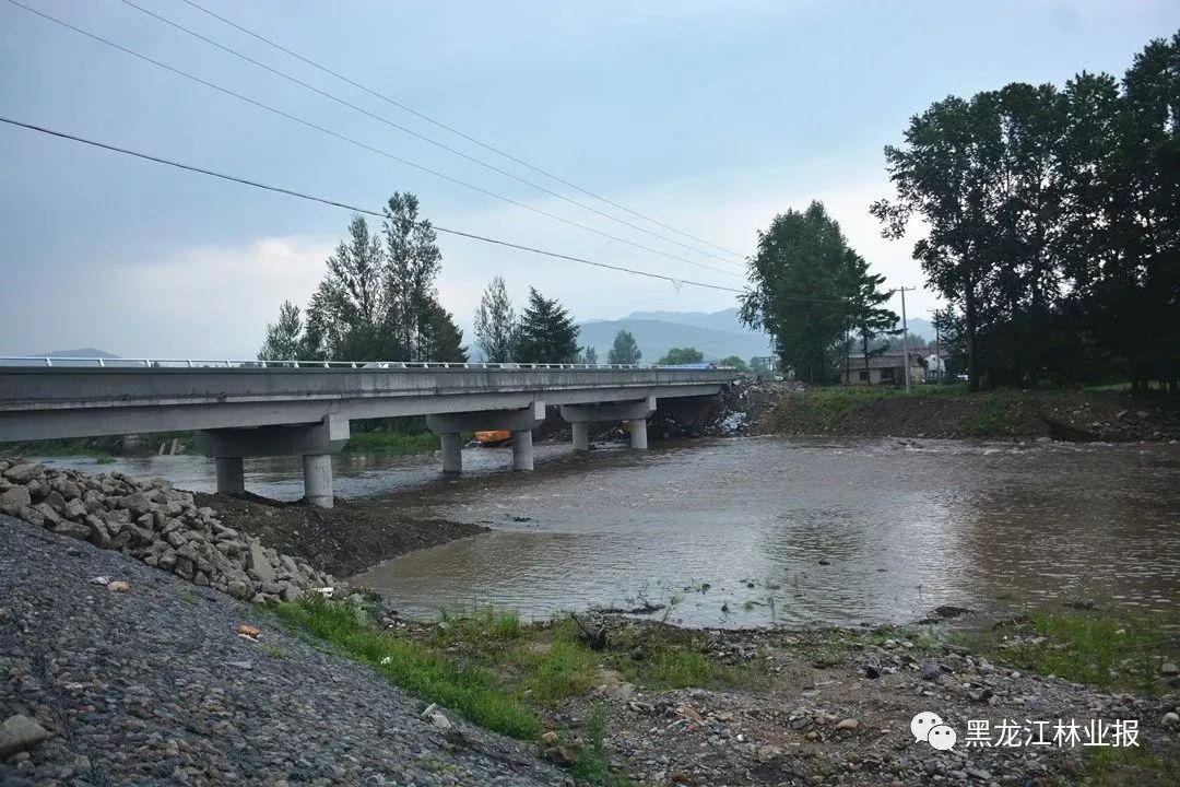 重建我们的美丽家园苇河重点国有林管理局抗洪救灾一周年纪实