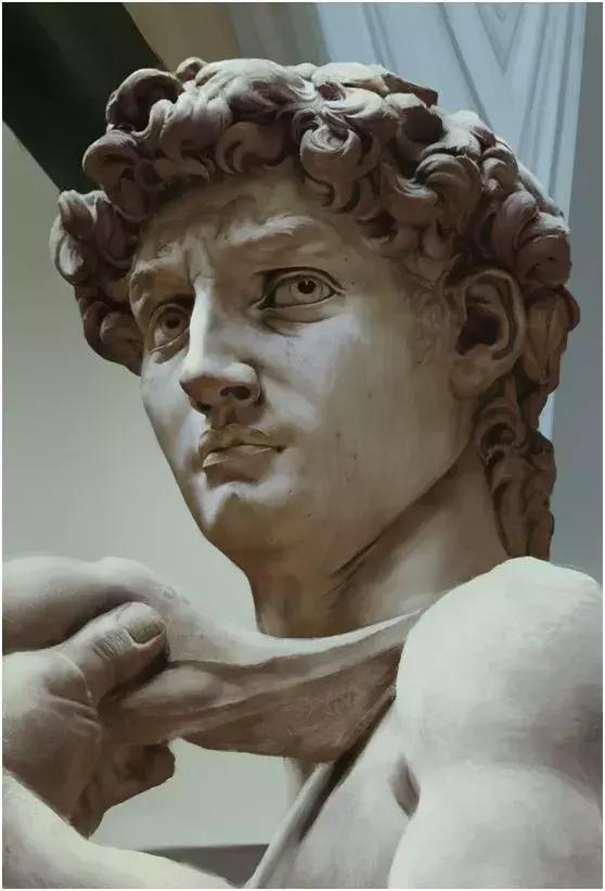 大卫像:米开朗琪罗 于1501年至504年雕成