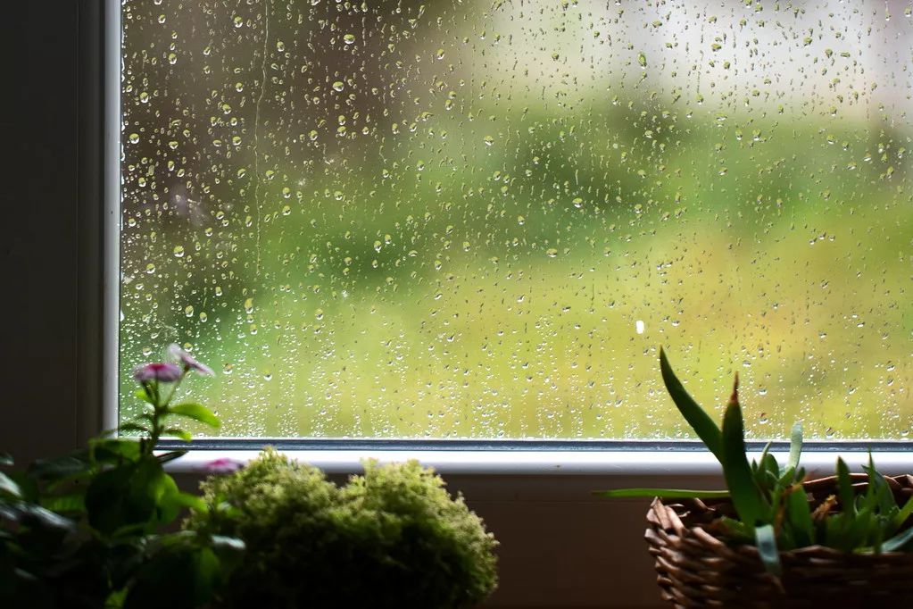 忽然大雨下了起来, 大滴的雨水从天空中密密麻麻地洒下, 你推开窗户