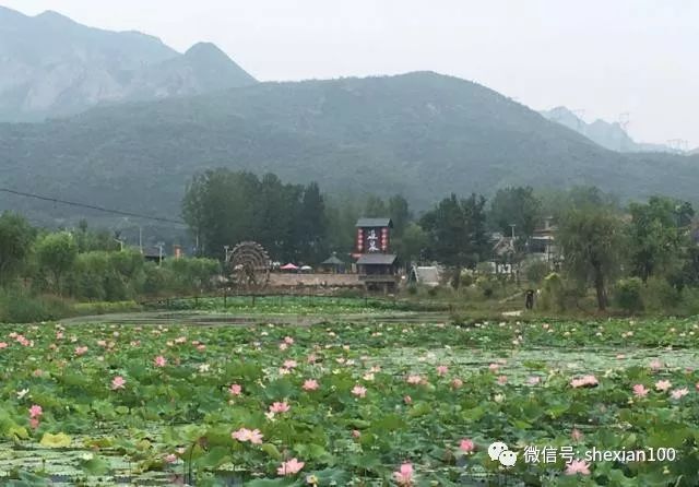 【新闻】美丽乡村涉县连泉 太行画廊北方水乡 漫步山水赏花避暑