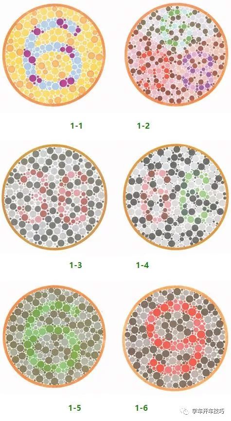 考驾照的第一步,色盲测试,如果你只能看到数字6那就考