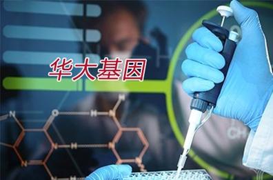 华大基因股价腰斩:百亿限售股解禁 举报门癌变门接踵而至