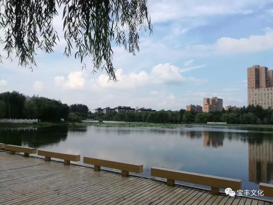 龙兴湖公园美成了一副画天空绚丽如油画编辑:胖胖,月儿,张晋编审:言羽