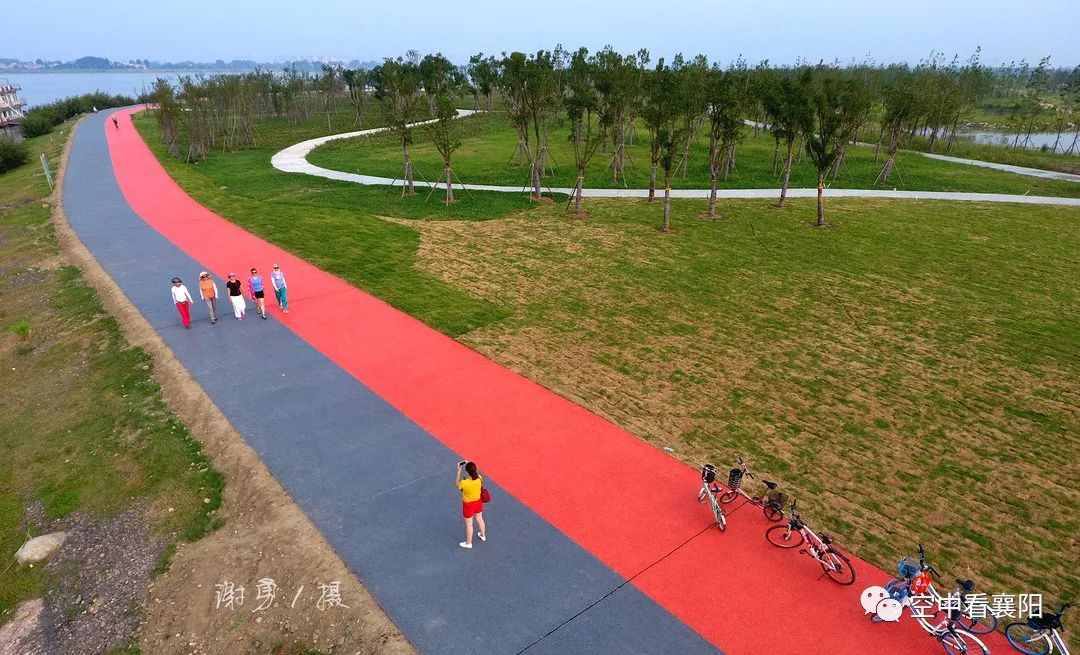 太美了!鱼梁洲建了这么大个公园,好多襄阳人还不知道