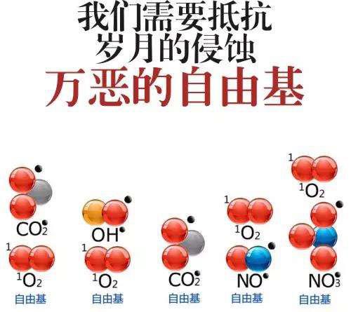 鍞变簲绾胯氨鏇茶氨鏁欏_大龟甲师孙绾绾的图片