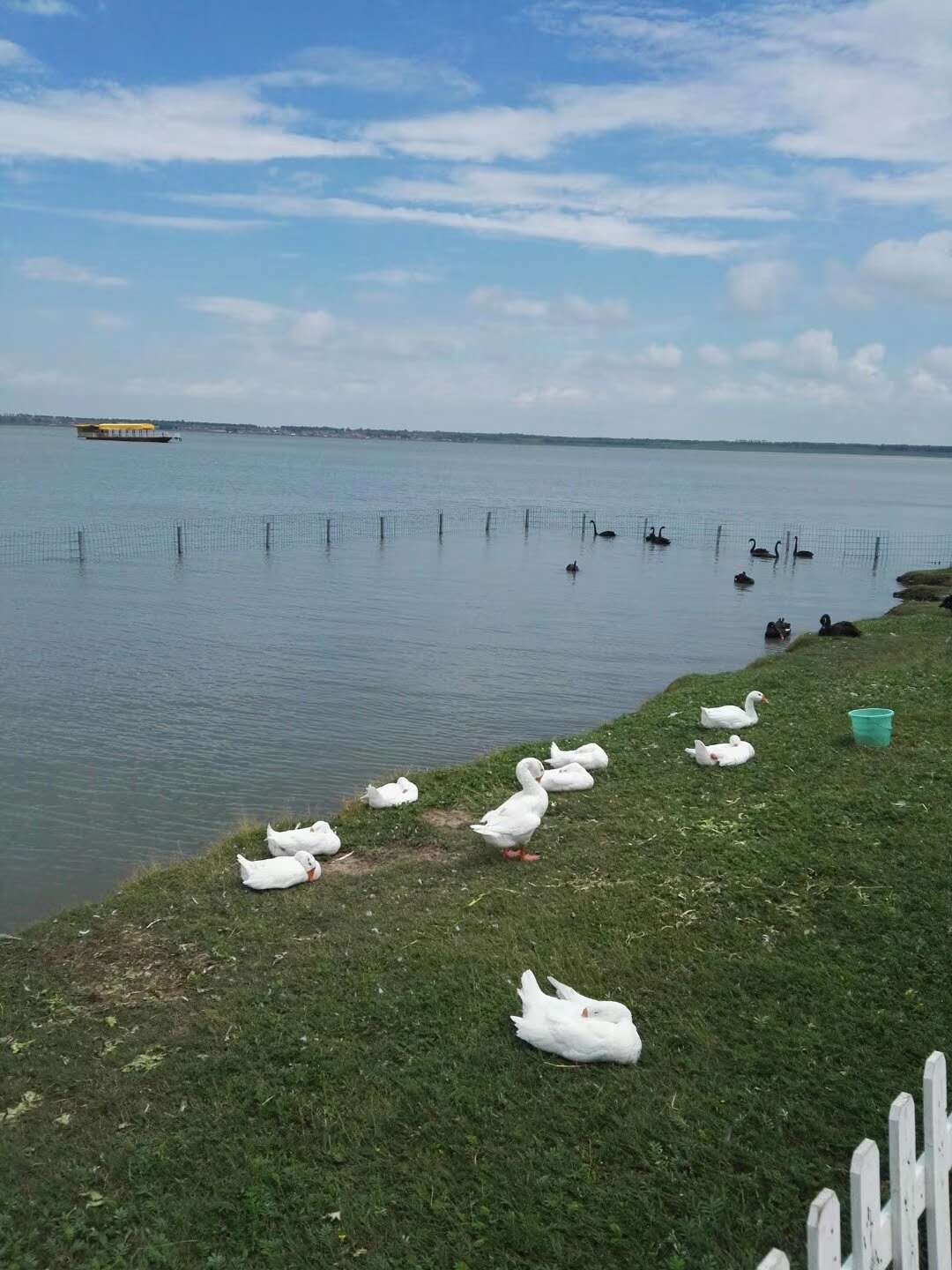 沽源天鹅湖——草原上的明珠