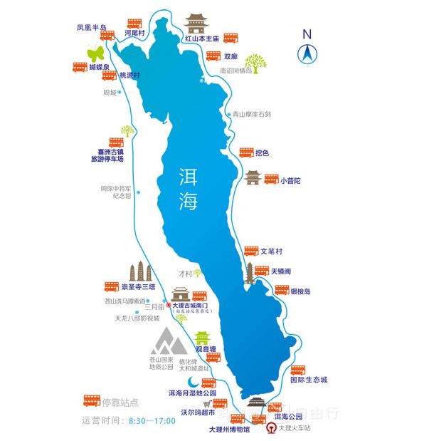 大理洱海你就随我去流浪反正遍地是花香