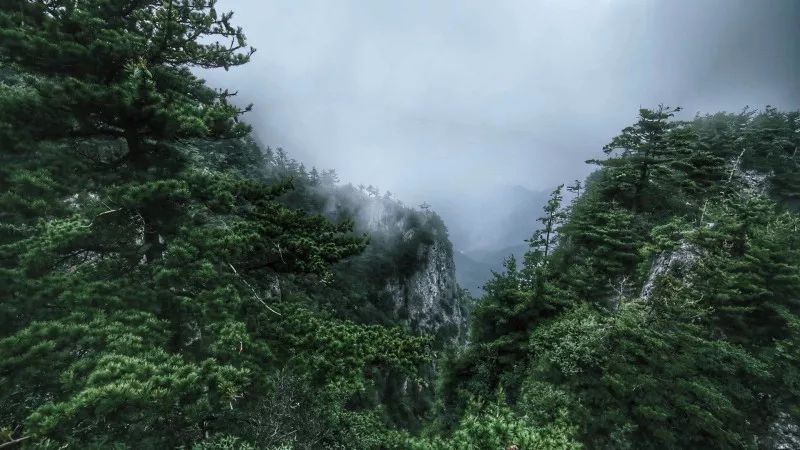 聆聽道骨仙風《天竺山》新歌首發！ 娛樂 第7張