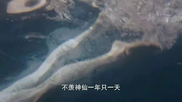 《天乩之白蛇傳說》楊紫水中一絲不掛，卻遭替身搶鏡，網友：挺尷尬的 娛樂 第6張