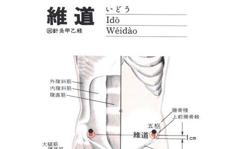 维道穴 gb28 wéi dào〔定位〕在侧腹部,当髂前上棘的前下方,五枢