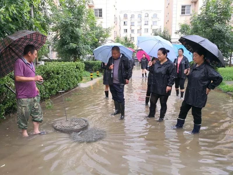 良村镇人口_人口老龄化