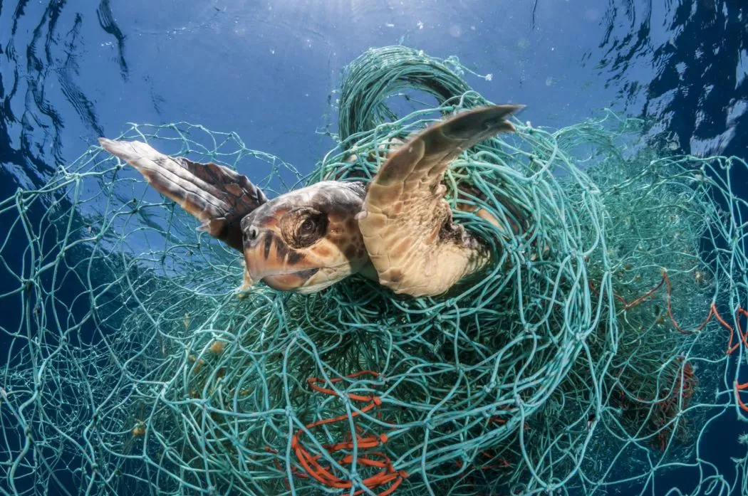 保护海洋动物倡议标记所有渔具