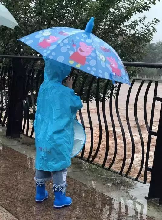 被你們娛樂的暴雨，其實隱藏著致命的危險！內含雨天出行指南 科技 第12張