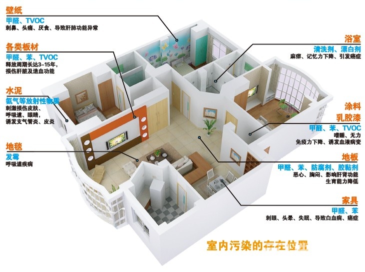 四,误区大扫盲:除甲醛的方法哪些才是真实有效的