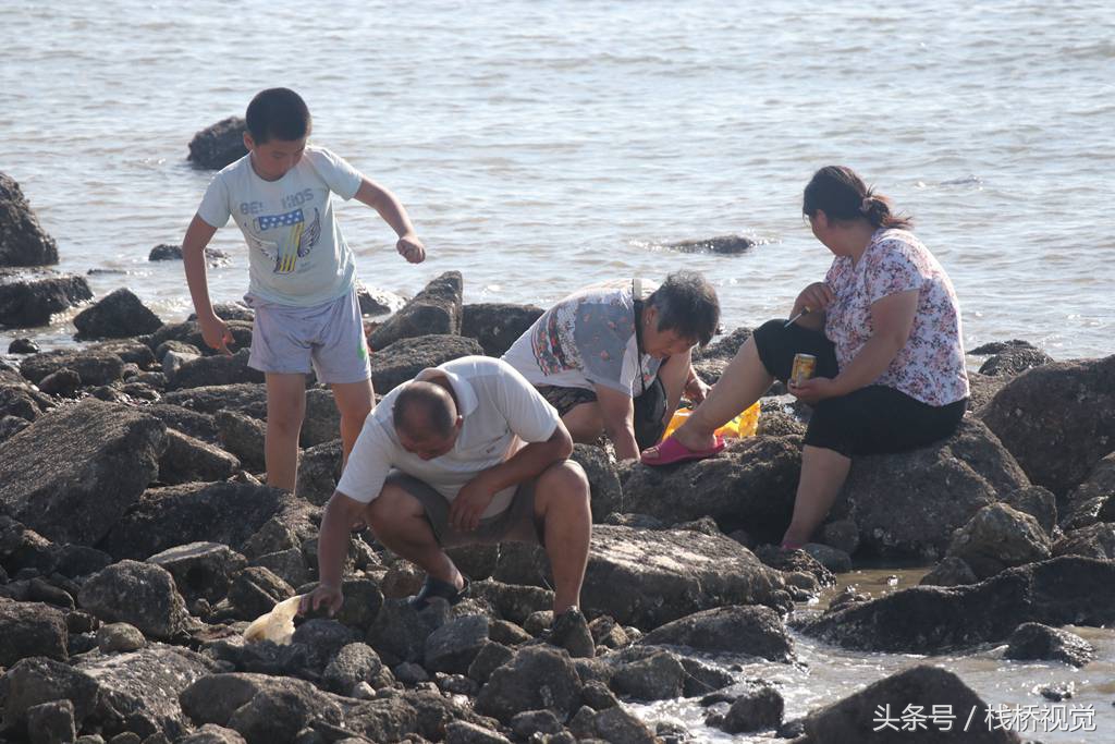 夏日炎炎消暑好地方,青岛欢乐滨海城赶海抓螃蟹钓光鱼