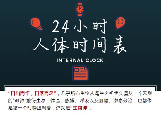 【实用】收好!这是张"24小时人体时间表"