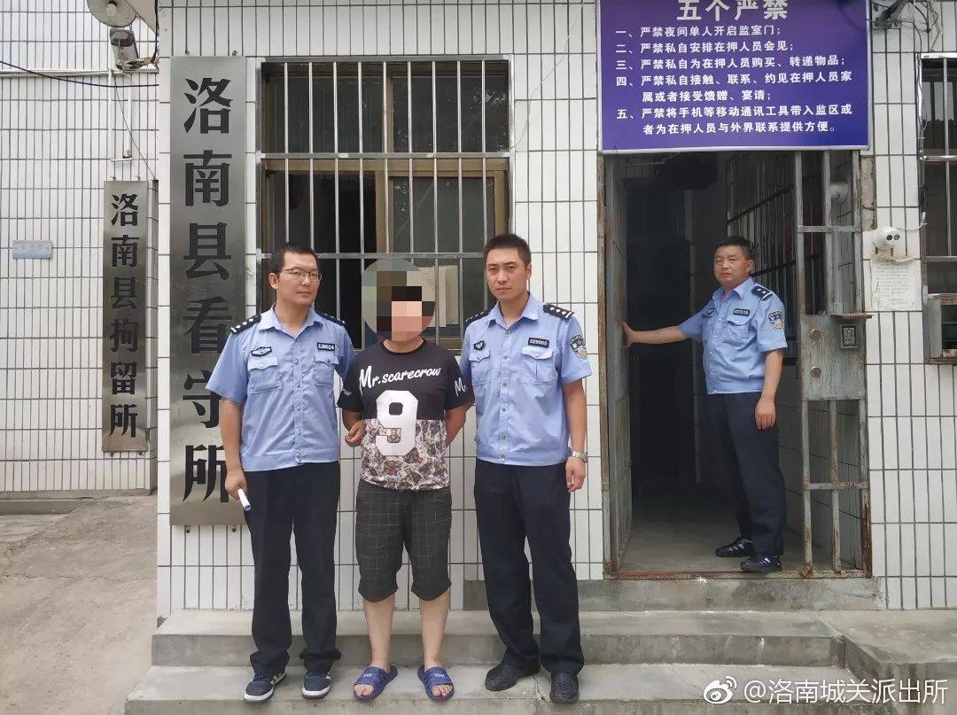 一网上逃犯在洛南被抓获,并依法刑事拘留