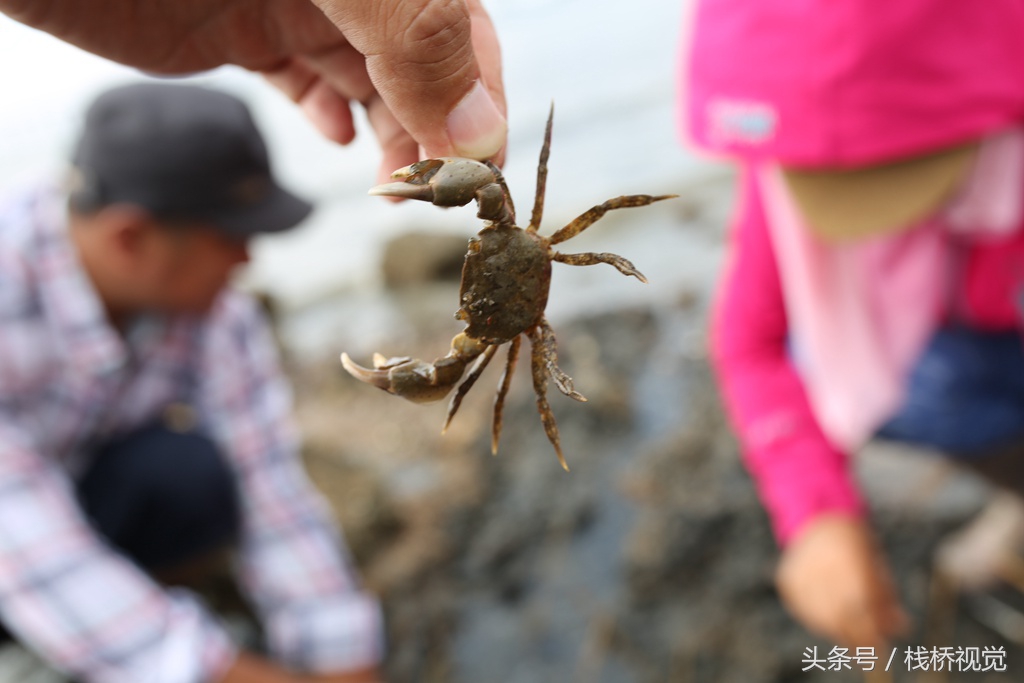 夏日炎炎消暑好地方,青岛欢乐滨海城赶海抓螃蟹钓光鱼