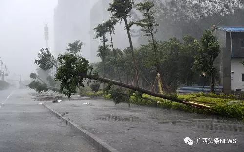 台风将带来大风暴雨但广西真的不热了吗