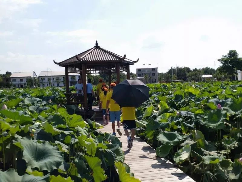 鹰潭市区有多少人口_鹰潭市区图片(3)