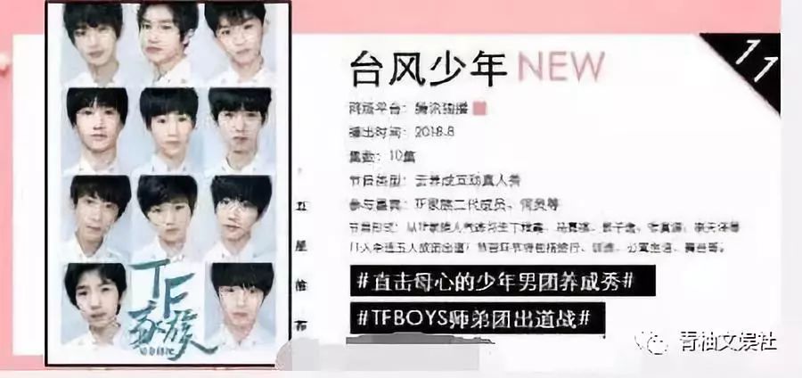 tf家族二团已内定?