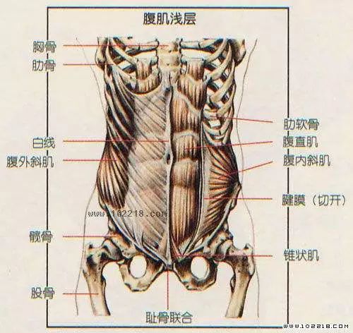 尾椎突出怎么办