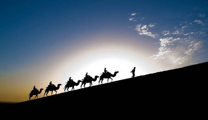 "丝绸之路"为什么只能用骆驼带路?