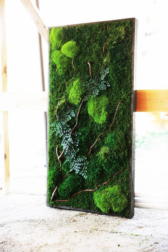 用苔藓做出来的植物墙,真的十分漂亮,你也应该有一个!