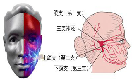 晚期老人口干_老人微信头像(2)