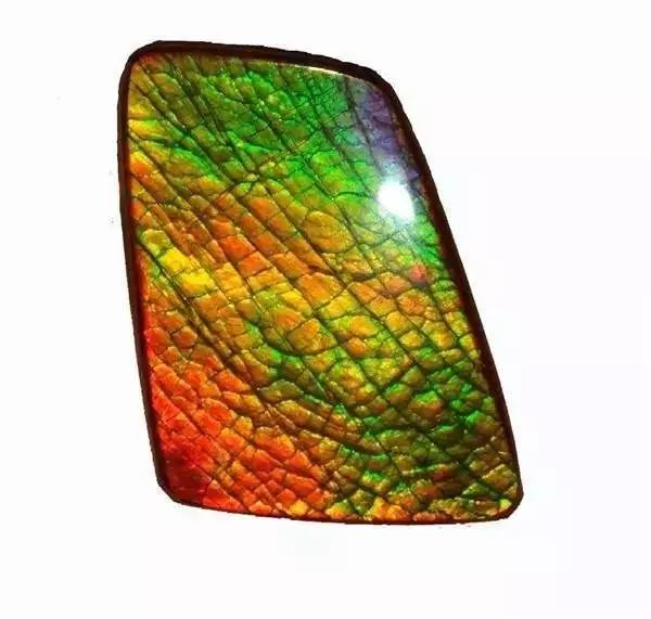 落入人间的彩虹--彩斑菊石(ammolite)