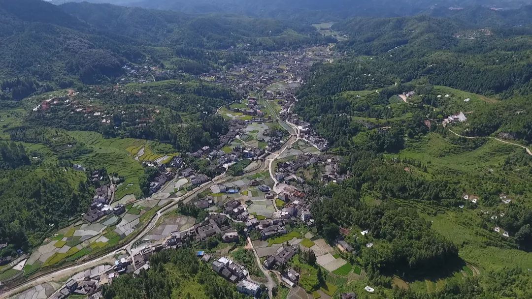 重磅!龙川黄布镇这个村里要打造成3a风景区