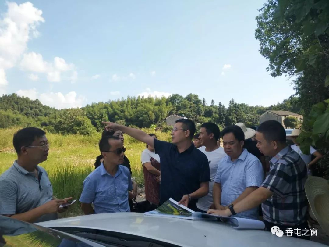 今日关注程志龙一行到香屯街道调研指导秀美乡村建设