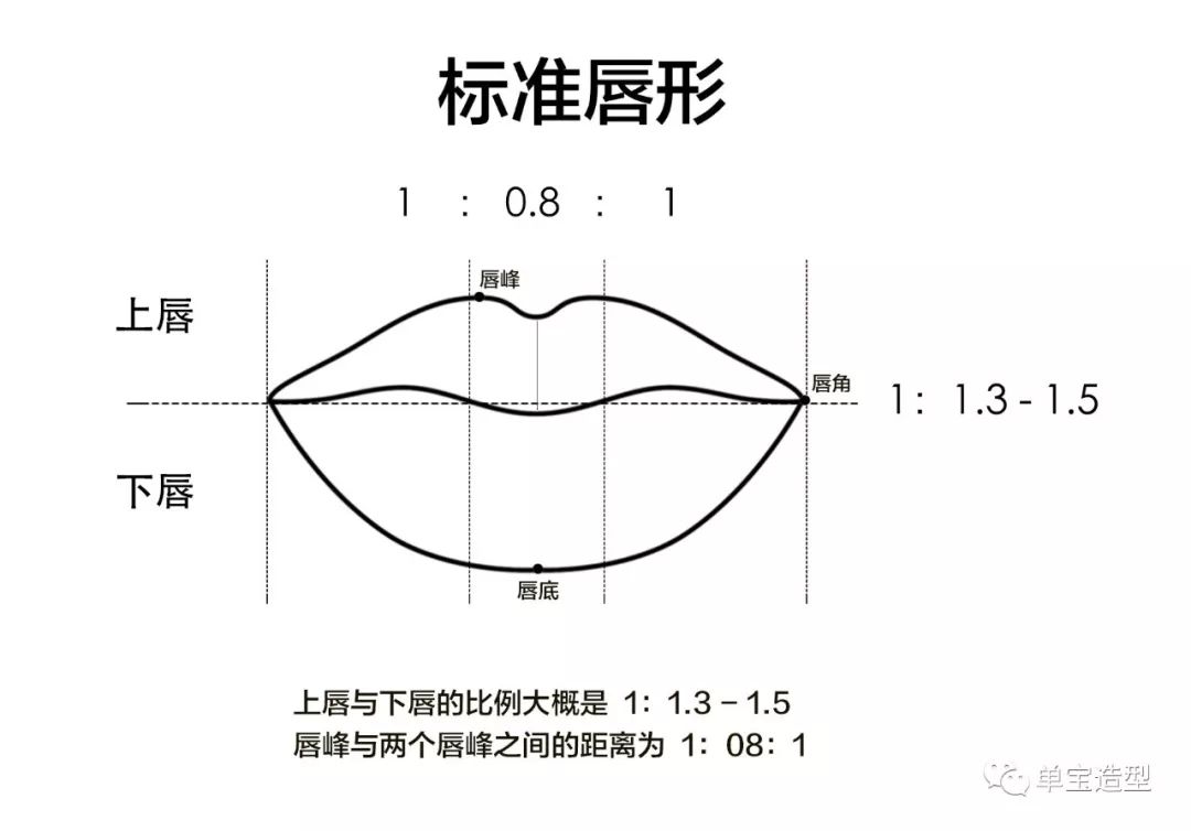 『 1 / 认识唇形 』 我们的唇部形状有很多种 只有认知了自己属于