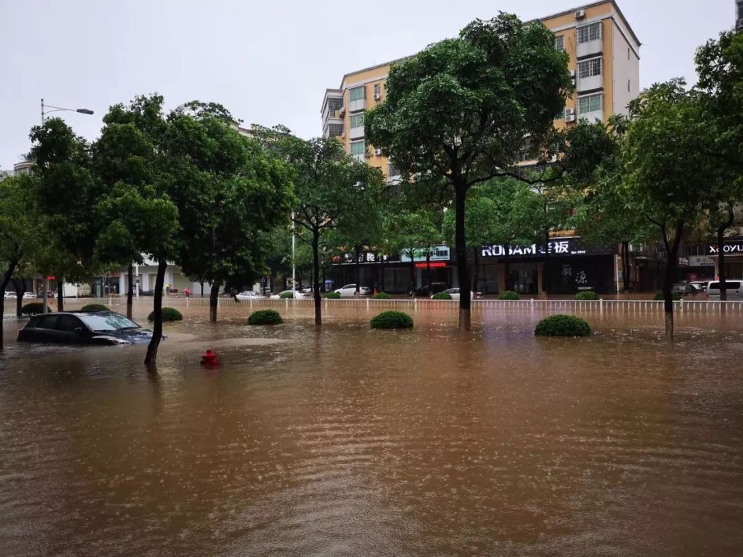 而是下半月每天都在下雨雨雨雨雨雨雨 我地三水人 一夜之间变成三水