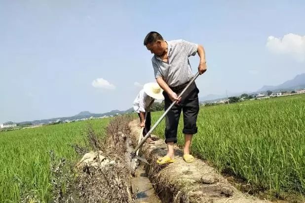 望江乡镇人口_盛望江添某某图片