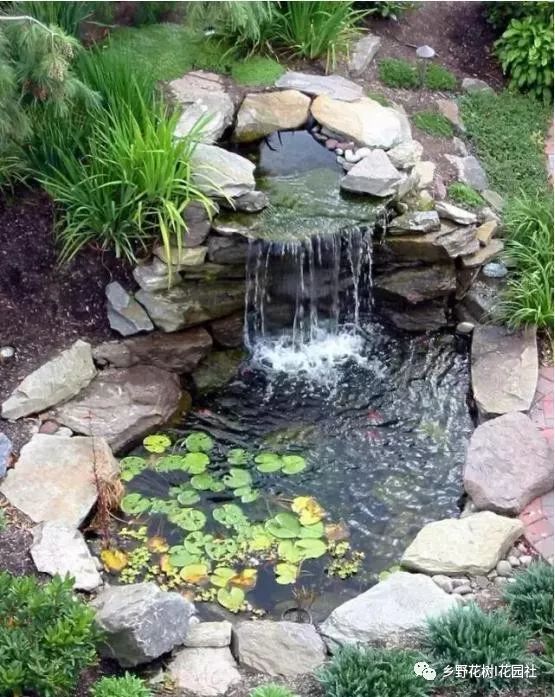 为什么有庭院都要做鱼池不光是赏心悦目还能带来好财运