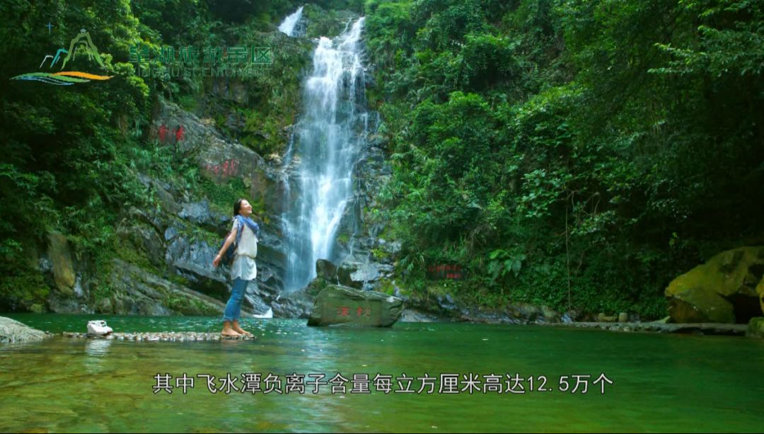 鼎湖人口_重磅肇庆鼎湖成为粤港澳大湾区中的“世界长寿之乡”