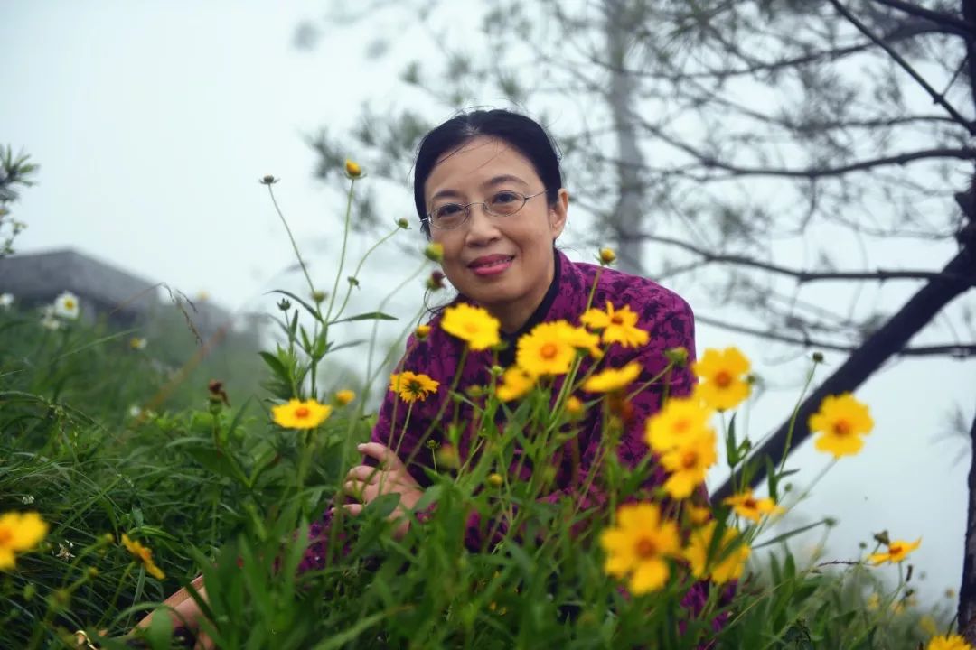 百里荒老总_宜昌百里荒景区(2)