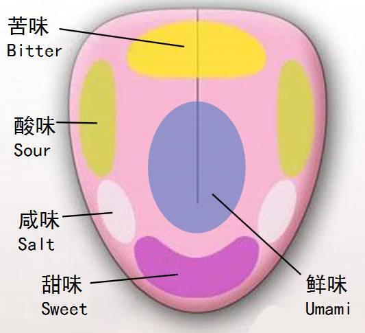 腔()人口_人口普查(3)